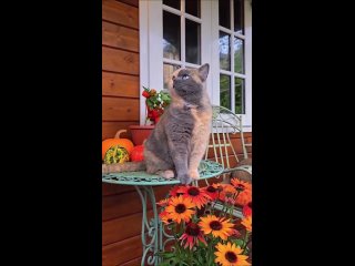 video from @videfunny | @videfunny