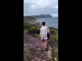 a selection of jokes | @videfunny