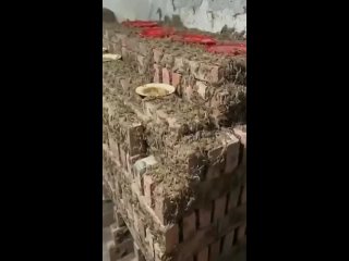 video from @videfunny | @videfunny