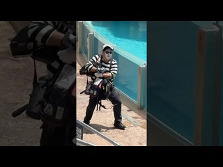what? let me help tom the mime seaworld seaaworldmime funny comedy viralvideo viralal - [eryka travel]