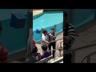 wait, see this tom mime seaworld seaworldmime tomthemime funny shorts - [eryka travel]