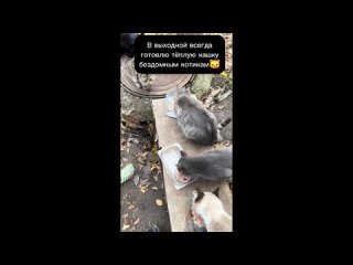 video by eavesdropped