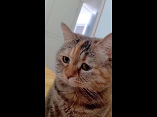 video from @videfunny | @videfunny