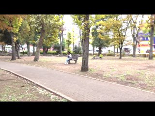 totte-242