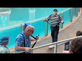 need laughter? tom mime always delivers - [eryka travel]
