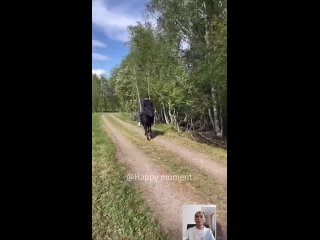 looking for adventure | @videfunny