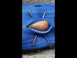 vine video | @videfunny