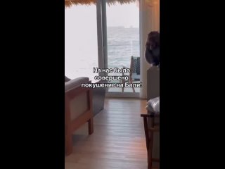 riders | @videfunny